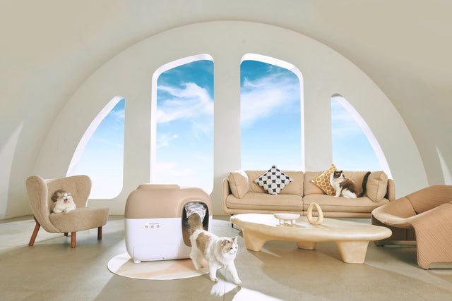 Aufregende Neuigkeiten: Ein neuer Weg, mit PetSnowy in Verbindung zu bleiben