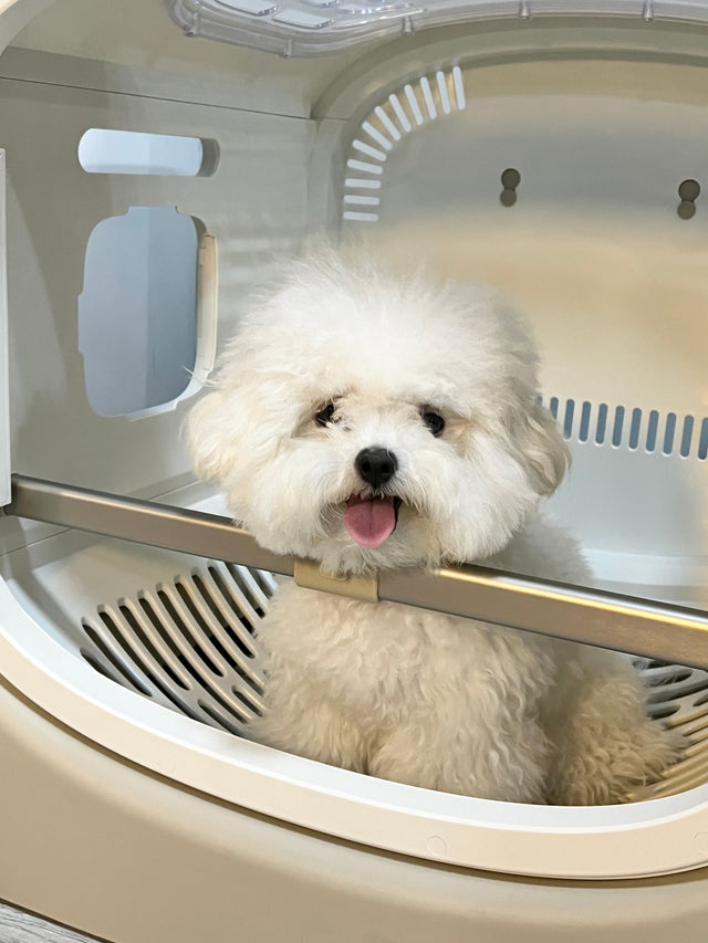 ペット用ドライヤーボックスを使用できるペットとは？