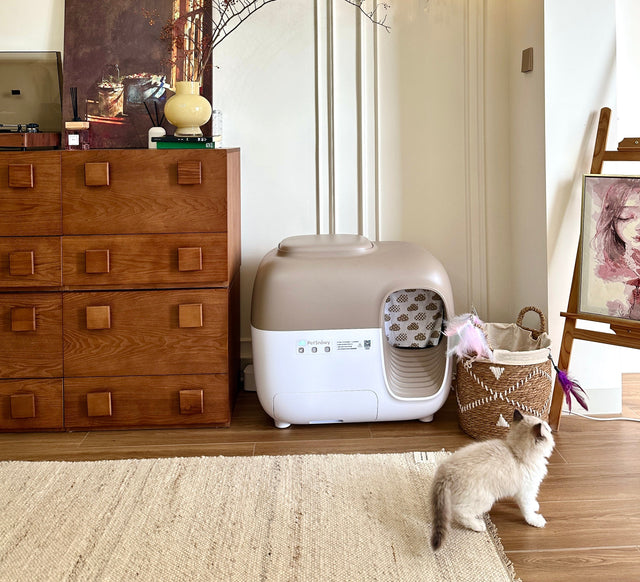 猫の旅行計画 - 一匹でいつまでいられる？