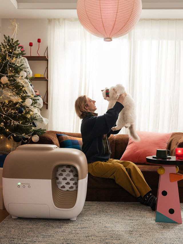à la maison avec votre chat et vos petsnowy