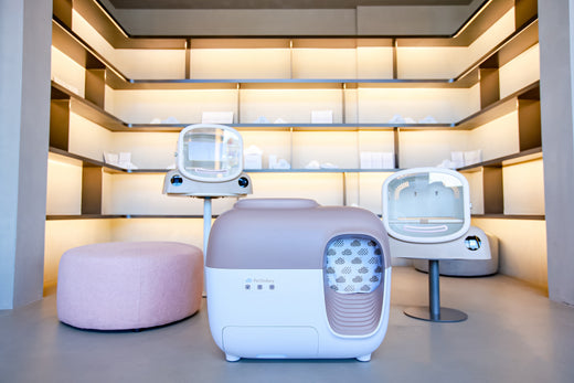 PetSnowy , la lettiera autopulente e la cassetta per asciugare gli animali domestici