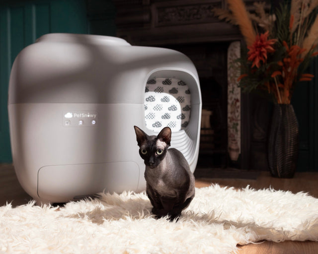 Comment fonctionne un bac à litière sans crotte ?