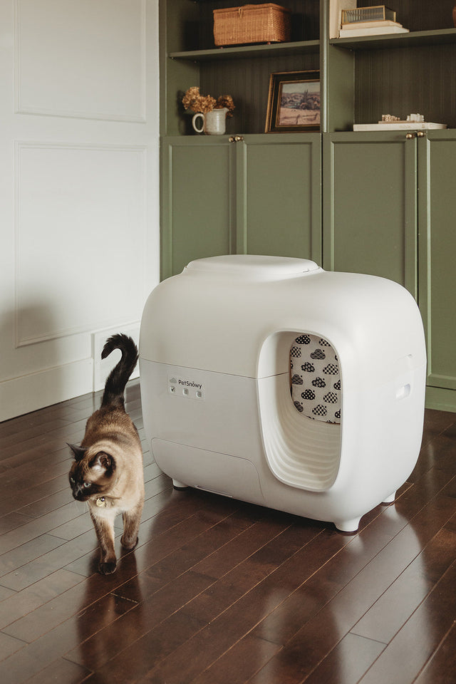 Siamese cat next to a white PetSnowy litter box in a modern home