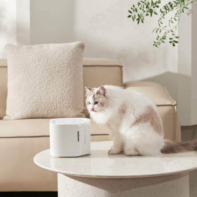 fontaine-crème-mb-3-héros