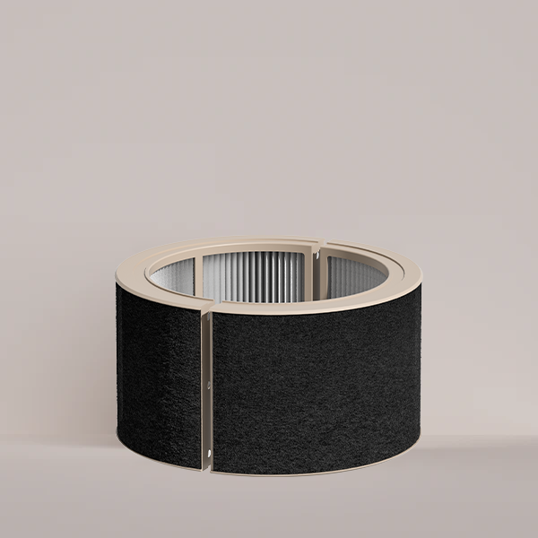 Luftreinigungsfilter