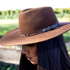 “Como cuidar e limpar seu chapéu cowboy”插图