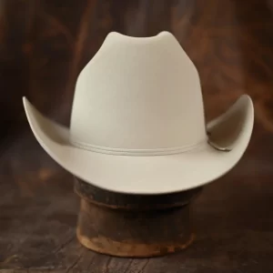 “Celebrando a cultura country com o chapéu cowboy”插图